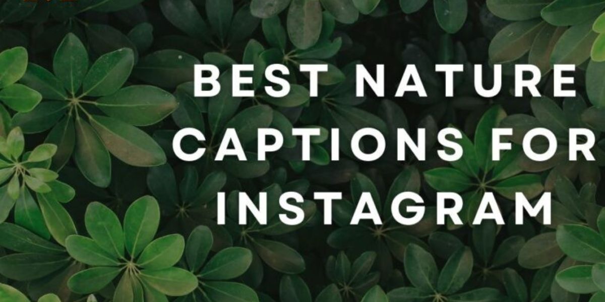 nature captions for instagram